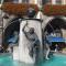 a fountain at the Marienplatz